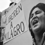 El Ejecutivo se planta frente a OEA y ONU por reclamo de libertad para Milagro Sala