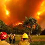 Alberto Fernández aseguró que el Gobierno “sigue de cerca” la situación por los incendios en el sur y presentara un a denuncia penal.