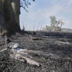 Agricultura lanza créditos para productores correntinos afectados por los incendios y la sequia