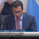 El secretario de Comercio, Matias Tombolini, expuso en Diputados