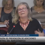 Diputados: Organizaciones y Expertos discutieron en comision la situacion actual de la Ley sobre Salud Mental