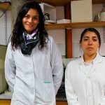 Investigadoras argentinas desarrollan un producto que elimina el glifosato del agua y los alimentos